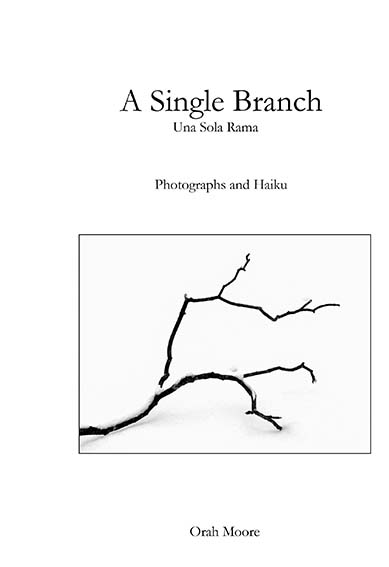 a single branch by Orah Moore